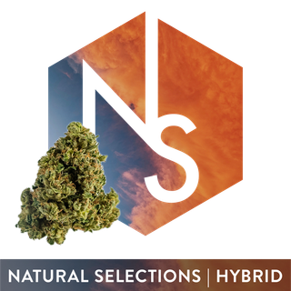 Strawberry Cotton Candy Natural Selections