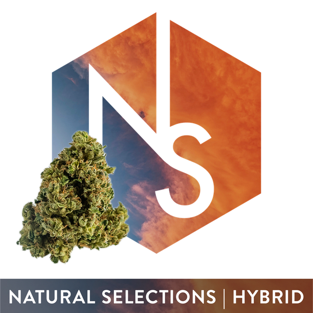 Strawberry Cotton Candy Natural Selections