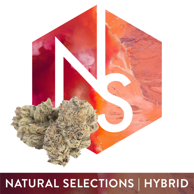 O Face Natural Selections