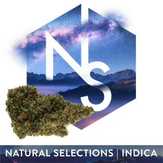 Alaskan Unicorn Natural Selections