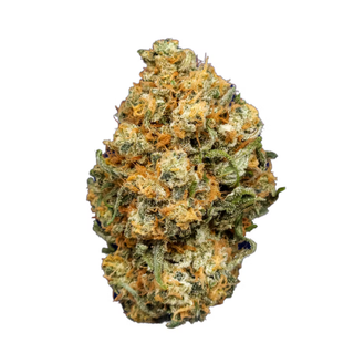 Durban Margy Root & Bloom