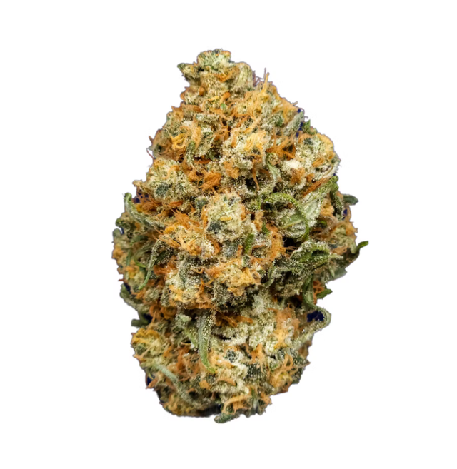 Durban Margy Root & Bloom