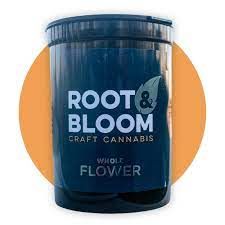 Lemonhead Delight Root & Bloom
