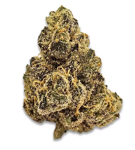 Sunset Sherbet BX1 Theory Wellness Sunset Sherbet BX1 Theory Wellness