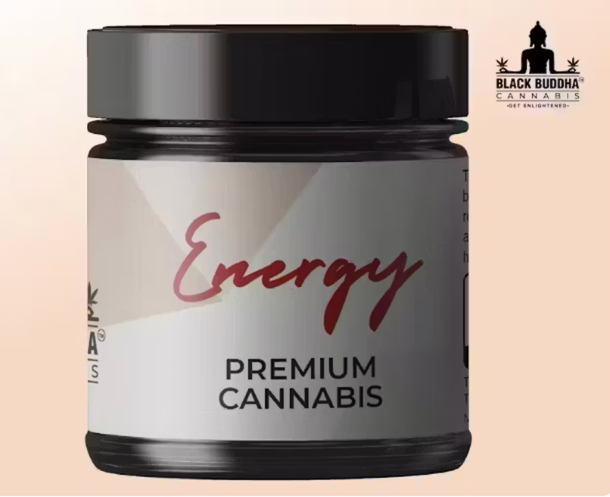 She's Zesty Black Buddha Cannabis
