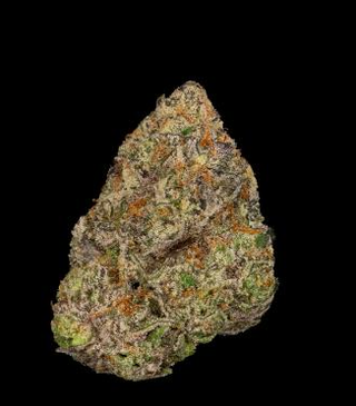 Swamp Ass 3.5g Hellohii