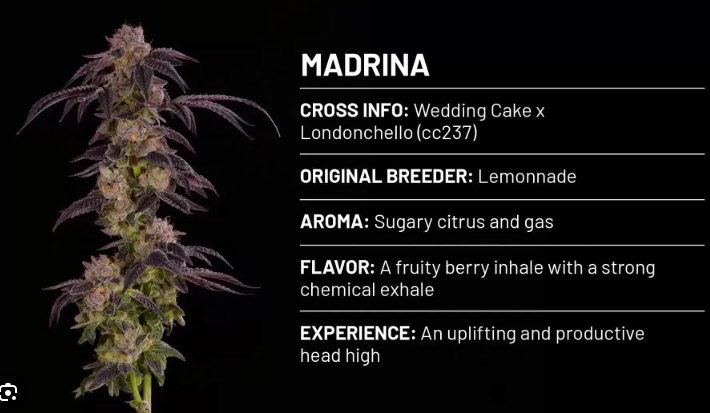 Madrina 3.5g