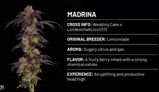 Cannabis Promo, Cannabis Sales, Cannabis Offers, Cannabis on Sale, Buy 2+ Units and Save $5 on each (Value Tier) 2