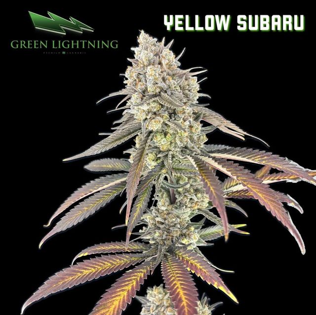 Yellow Subaru Green Lightning Yellow Subaru Green Lightning