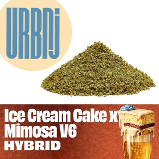 Ice Cream Cake x Mimosa V6 Ground Flower Urbnj