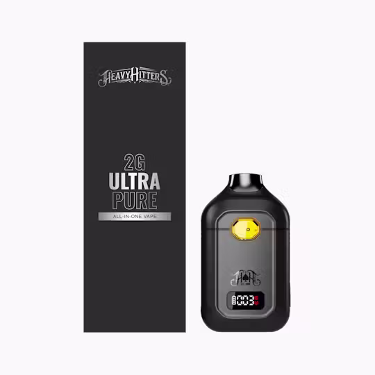 Northern Lights 🌌 Heavy Hitters