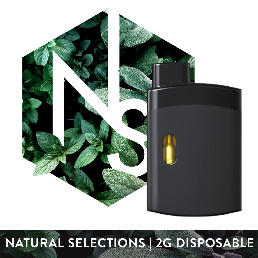 Buy Black Maple #22 2000mg Disposable online - Ethos Allentown | Allentown 