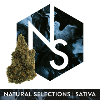 Wizard Spray #1 Natural Selections