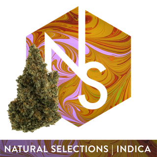 Lemon Cherry Gelato Natural Selections
