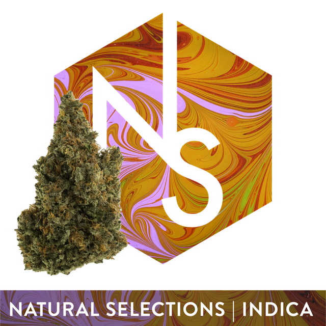 Lemon Cherry Gelato Natural Selections