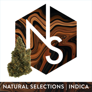 Animal MNTZ Natural Selections