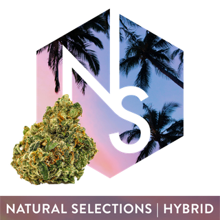 California Natural Selections
