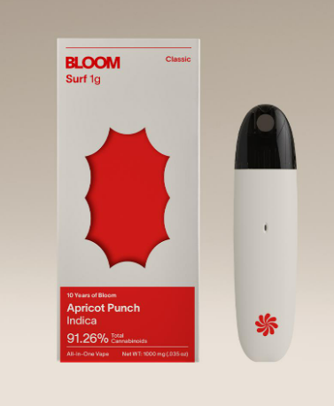 Apricot Punch Bloom Apricot Punch Bloom