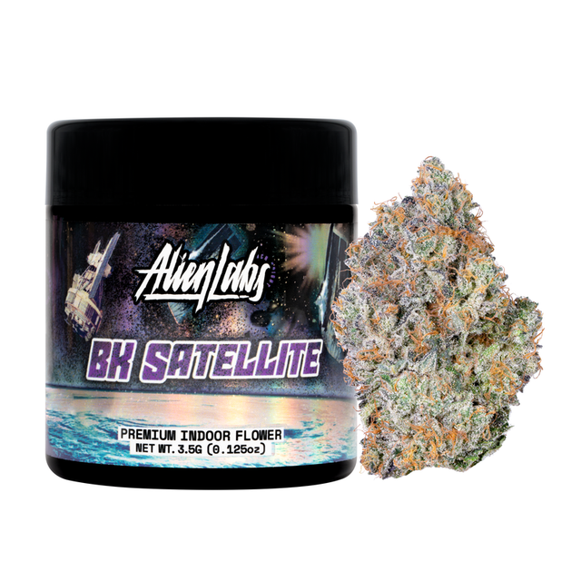 BK Satellite Alien Labs