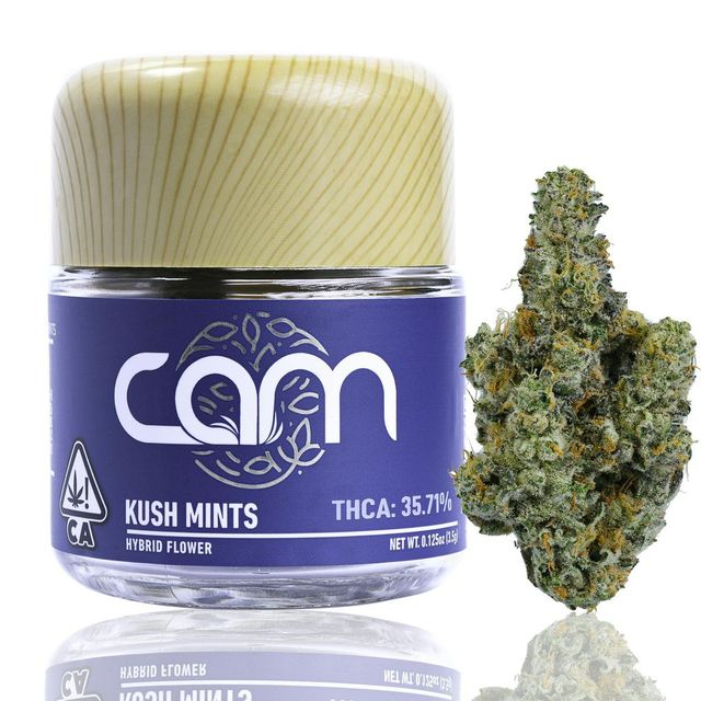 Triangle Mints Cam