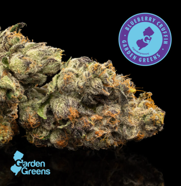 Blueberry Cruffin Big Buds 🫐🌿 Garden Greens