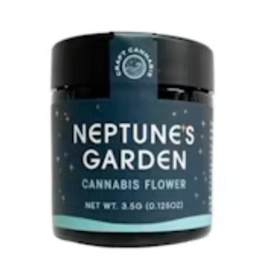 Disco Nap | Buds 🪩🌙 Neptune'S Garden