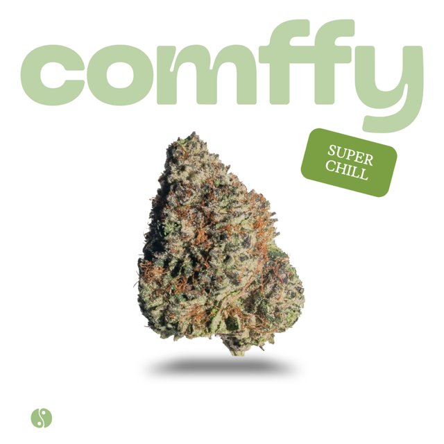 Super Chill comffy