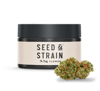 Ky Jealous ⛽🌬️ Seed & Strain
