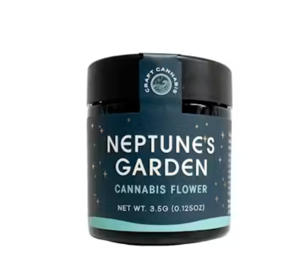 Lemon Ice Cream 🍋🍦 Neptune'S Garden