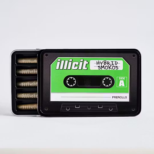 Mintlato ❄️☕️ Illicit
