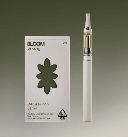 Bloom Citrus Punch 1937