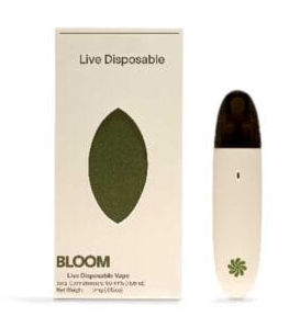 Bloom Grape Soda Live Surf Disposable 1937