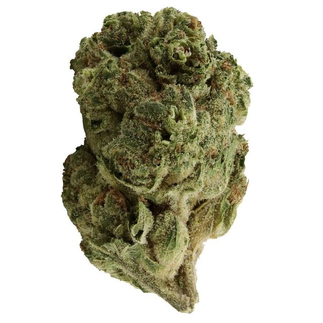 Island Garlic Z 4Front