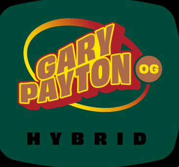 Gary Payton Og 93 Boyz