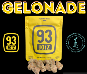 93 Boyz - Gelonade Aeriz