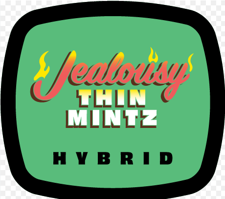93 Boyz - Jealousy Thin Mintz Aeriz