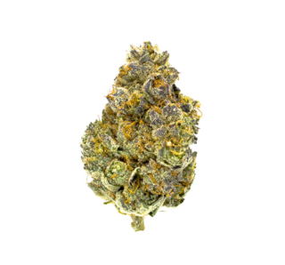Gmo Aeriz