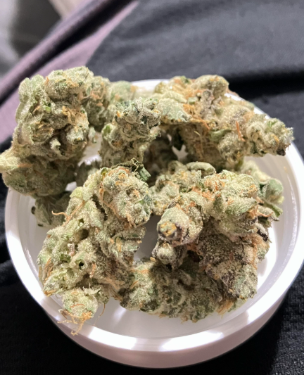 Gmo Oz Aeriz