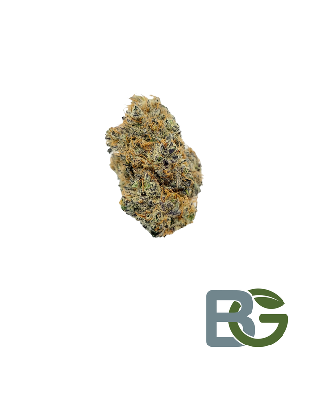 Spiked Punch Bedford Grow