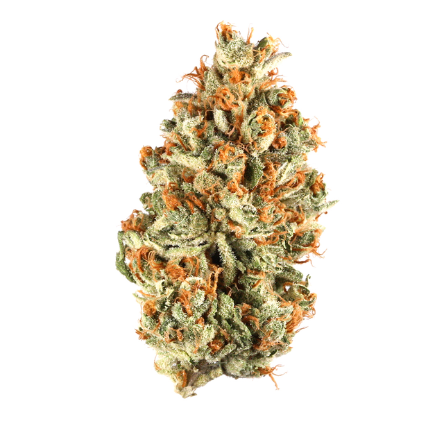 Blue Agave Pre-Roll Cookies