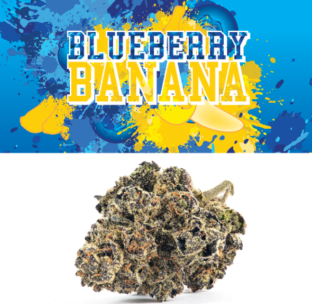 Cookies - Blueberry Banana Aeriz