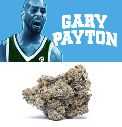Cookies - Gary Payton Aeriz