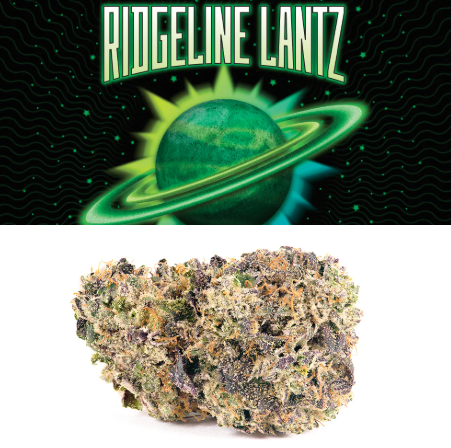 Cookies - Ridgeline Lantz Aeriz