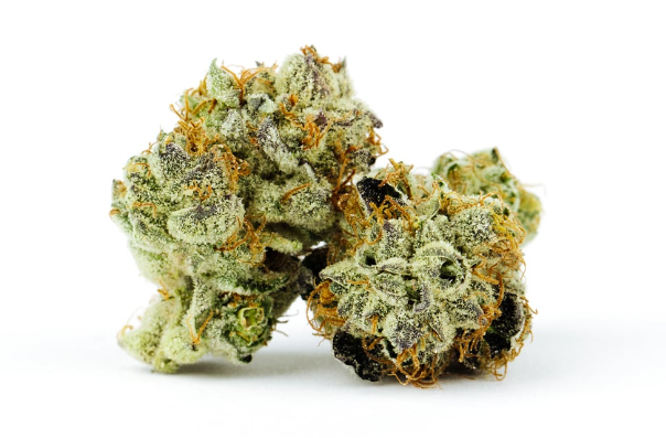 High Supply Lemon Frost Popcorn Cresco