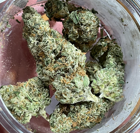 High Supply Motor Breath Haze Popcorn Cresco
