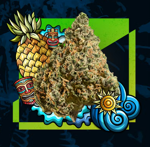 Pineapple Express Cresco