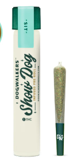 Dog Walker - Animal Face Big Dogs Preroll Rythm