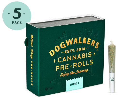 Dogwalkers - Ice Cream Cake Pre-Rolls Rythm