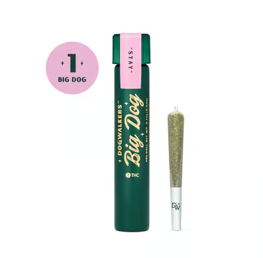 Dogwalkers - Jet Fuel Og Big Dog Rythm