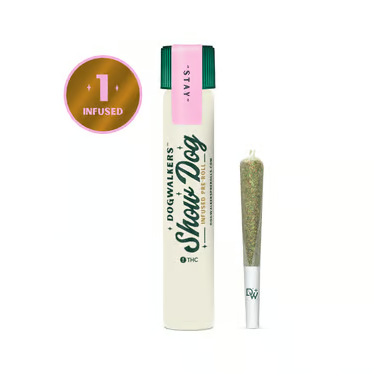 Dogwalkers - Jet Fuel Og Big Dog Rythm